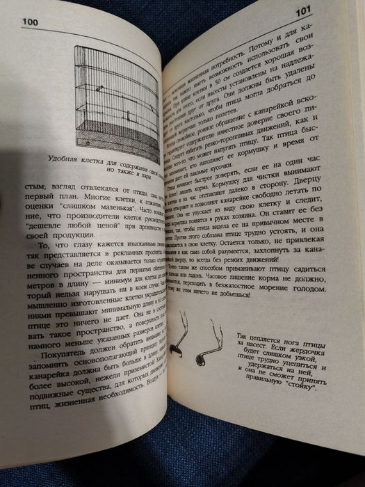 Канарейки 120 пород.