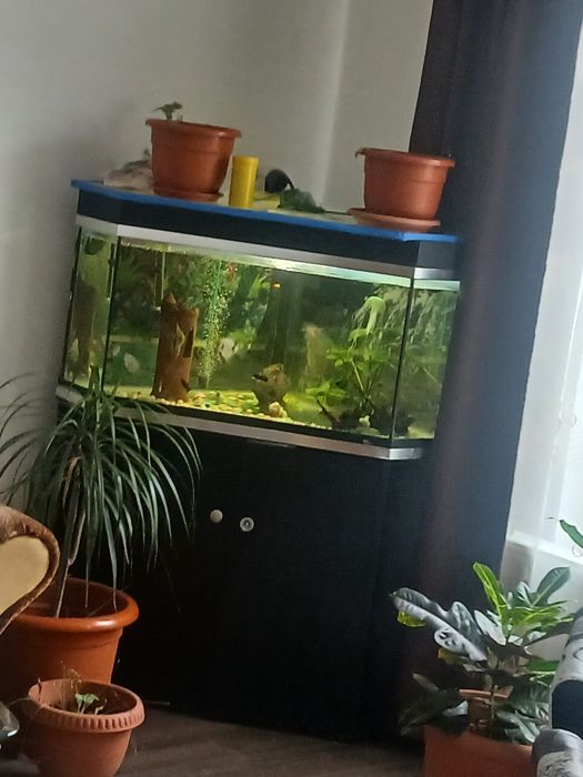 Vând acvariu  pe colț