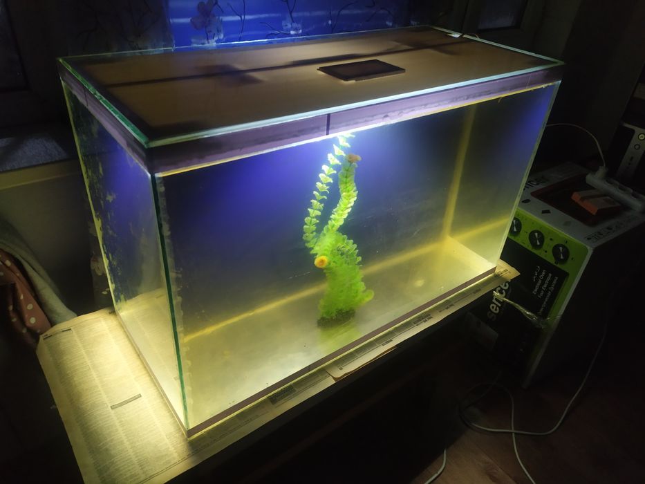 Аквариум 141л + фильтр и рыбки.