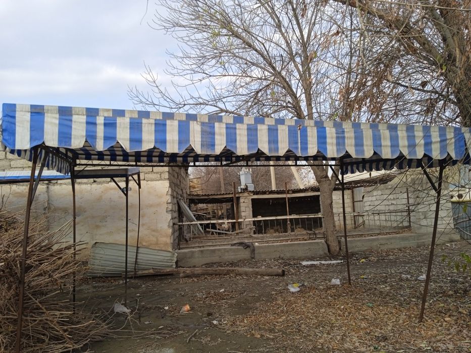 Butka zontik sotiladi