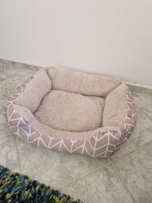 Котешка катерушка, тоалетна и легла.