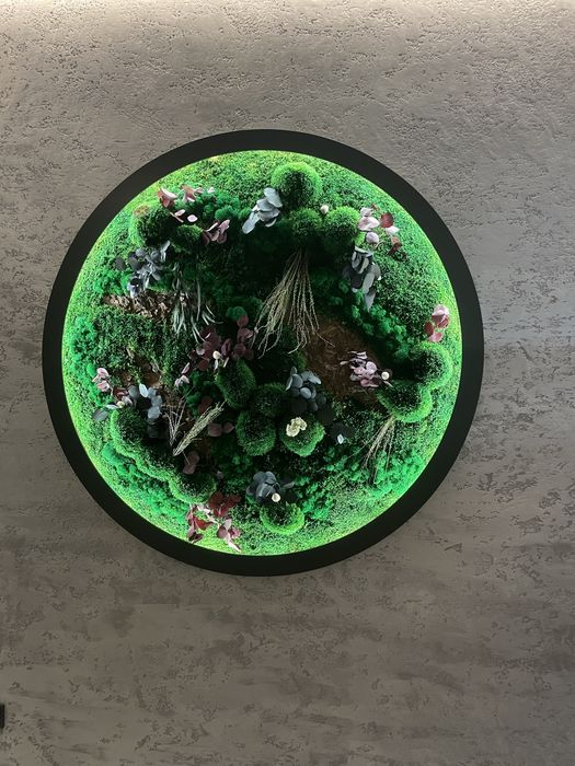 стабилизированный моx