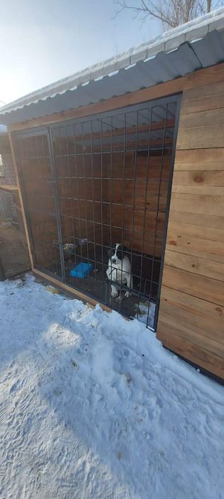 Вольеры для собак