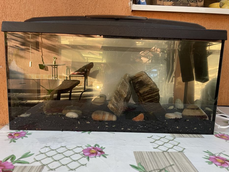 Acvariu pesti 50l