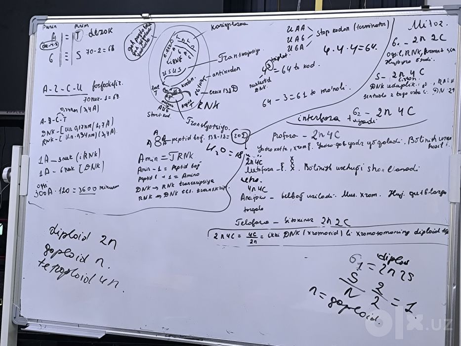 Repetitor kimyo biologiya.