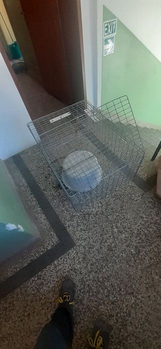 Метални клетки за зайци