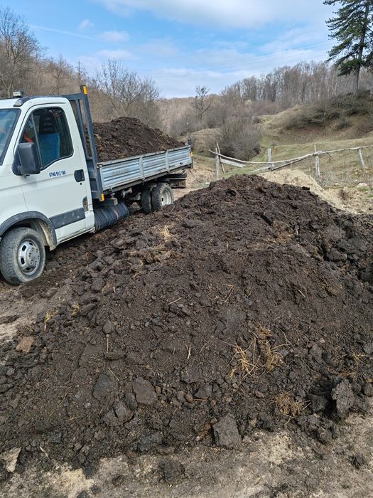 Chisai de gradina sau gazon mranita