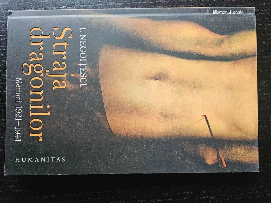 Ion Negoițescu - Straja dragonilor