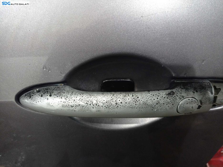 Usa Usi Portiera Portiere Stanga Fata Renault Scenic 2 2003 - 2009 [L3214]