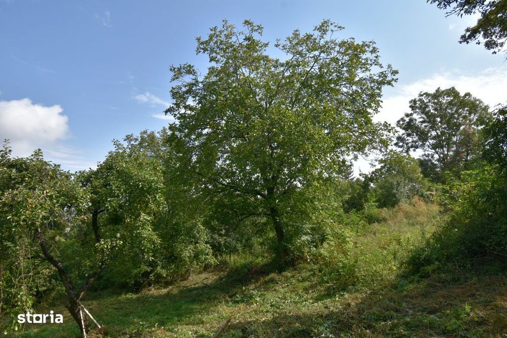 Casa demolabila in sat Gheorghieni (com Feleacu) teren 1547mp intravil