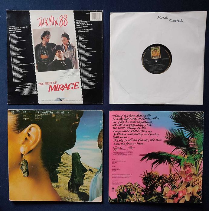 Discuri vinil cu muzica, romanesti & internationale