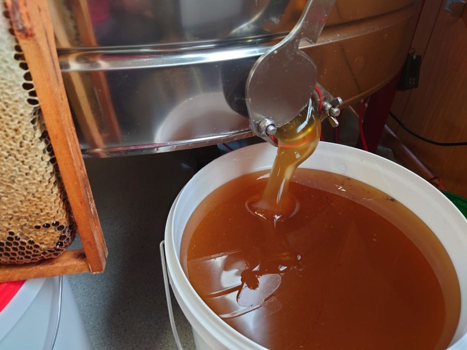 Продам мёд настоящий с пасеки.