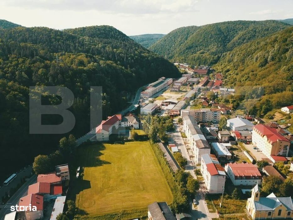 Proprietate de cazare, spatii comerciale, Lugoj