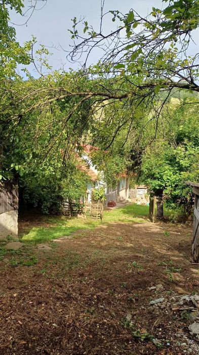 Casa cu teren 2000mp Glogovet Blaj
