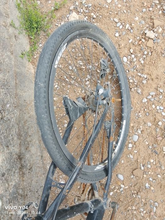 Велик спартивный