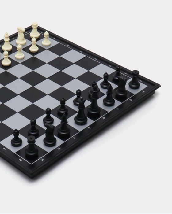 Шахматы магнитные