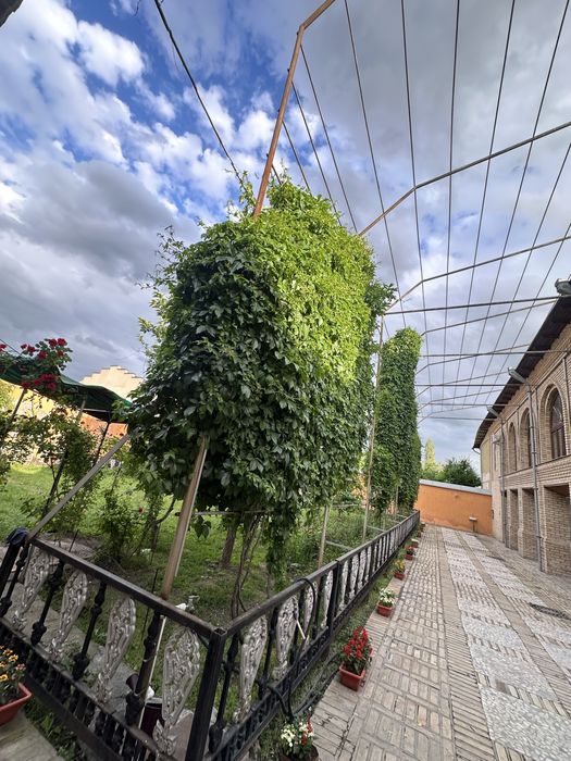 Яшнабод Тузель Уй сотилади Срочно!!!