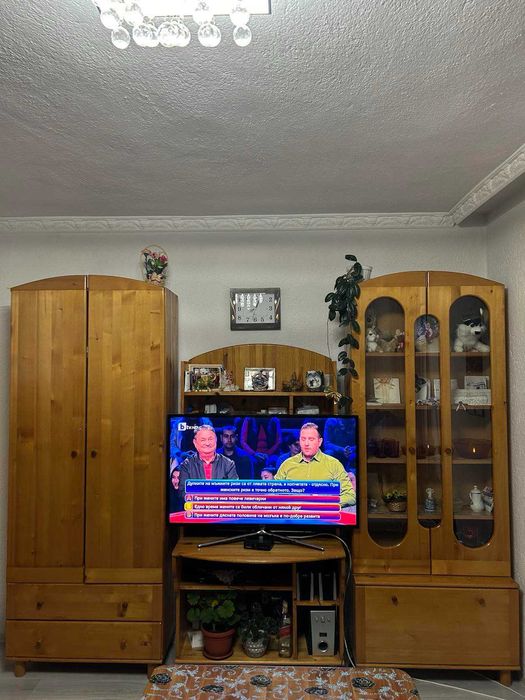 Дървесна  Секция