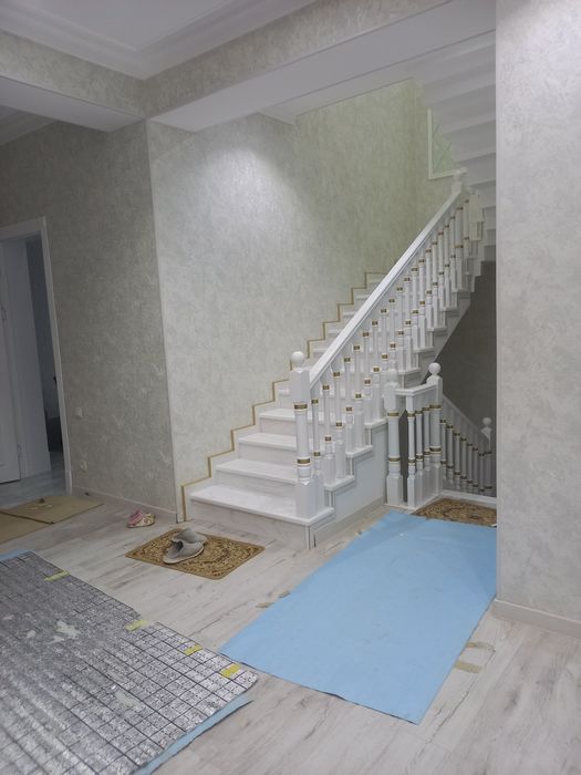 Зина устанопка .