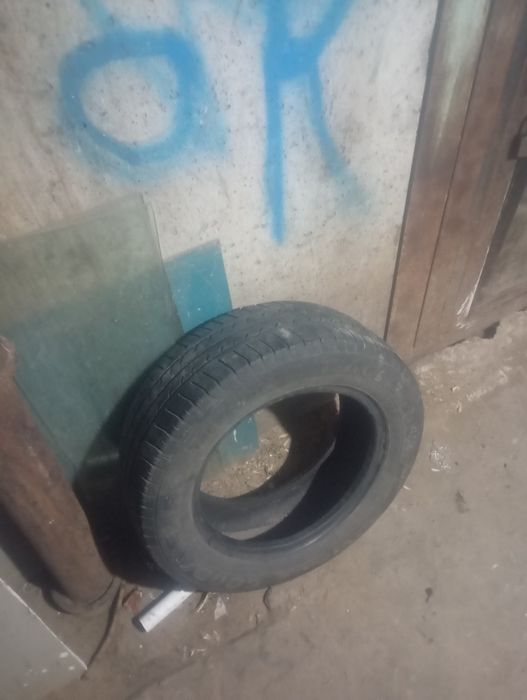 Автомобильные баллоны