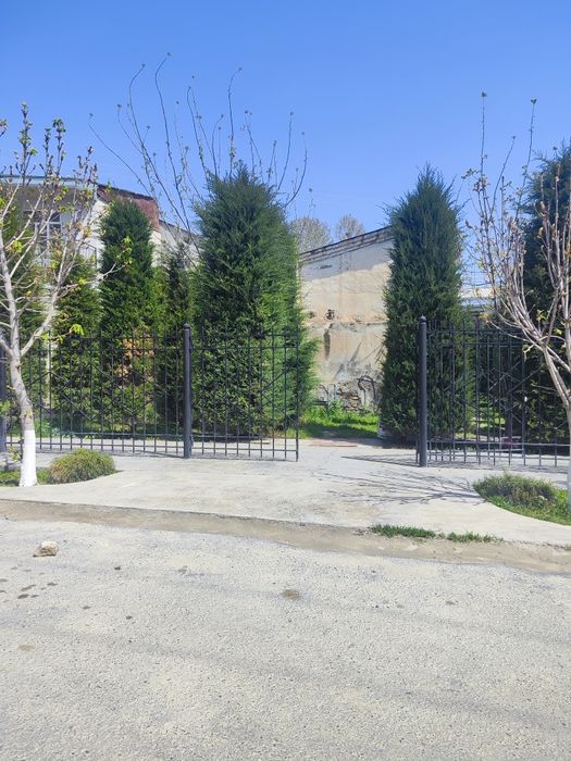 Ёлка 6-летний 2.80м