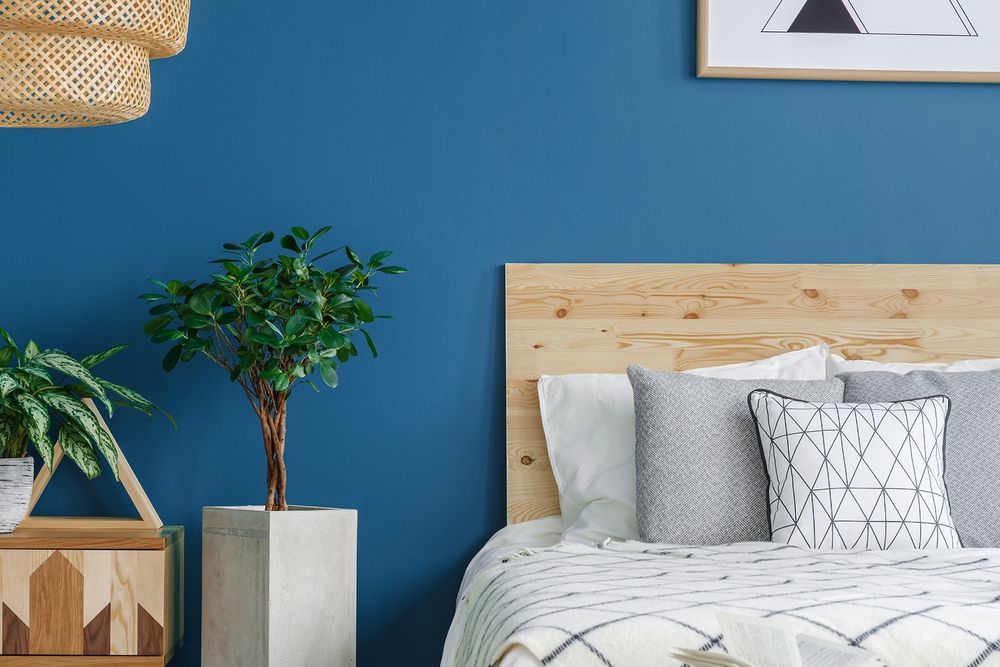 Nippon Paint  Moss