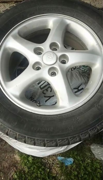 Титановый диск с ризиной