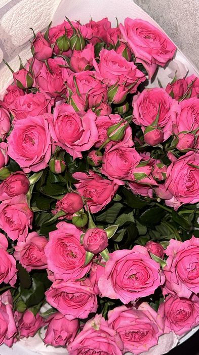 Букет Цветов розы Спрейковые