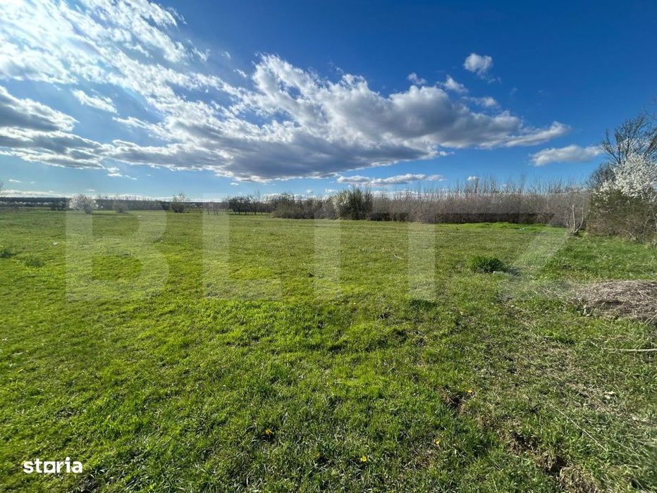 Teren | Rancaciov | 2000 Mp | 700 Intravilan |