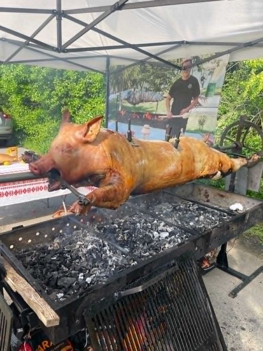 Baboy  Events– servicii complete pentru evenimente