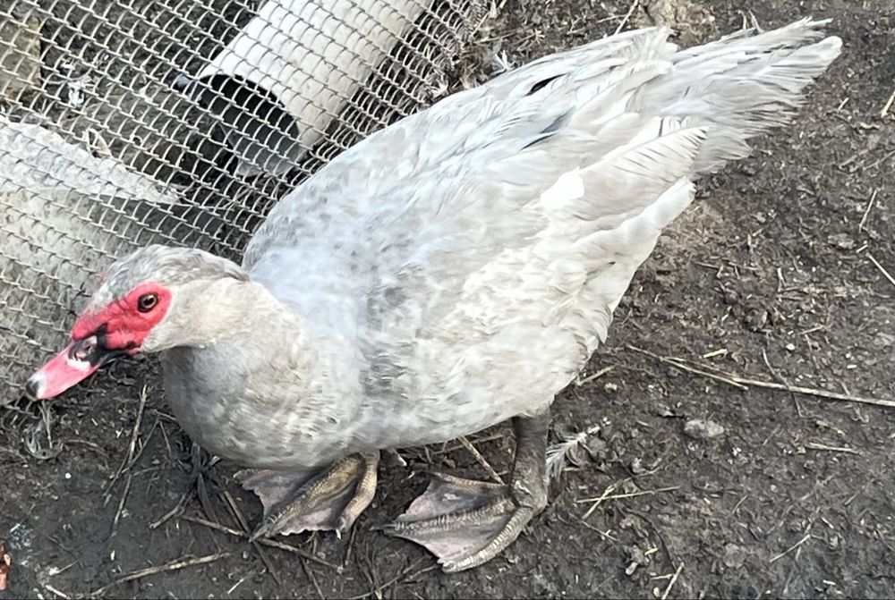 Стиральная машинка