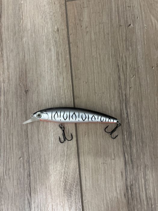 Спиннинг на хищинка