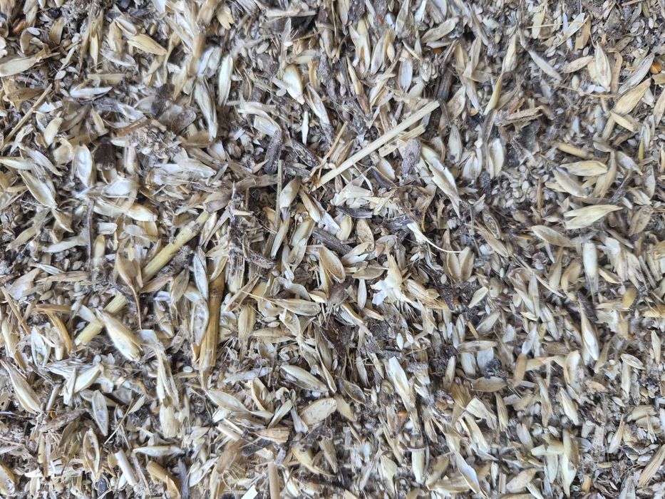 Продам Отхот зено Шлухы по 1000 теңге