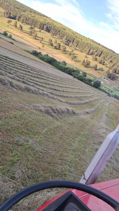 Vand baloti de fan cu transport