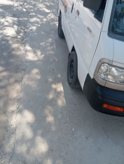 Ок тулпор дамас 2019 йил