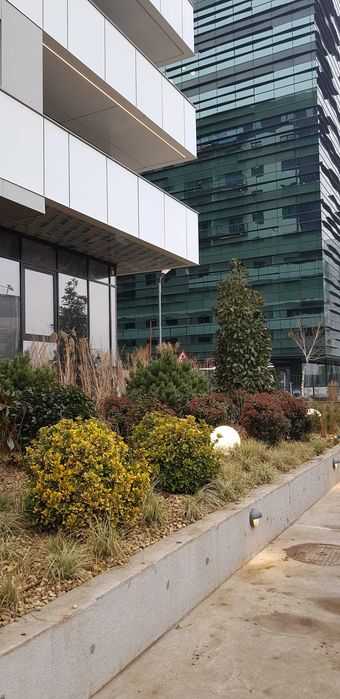 Proprietar  - inchiriere Studio Cortina North- fără comisioane