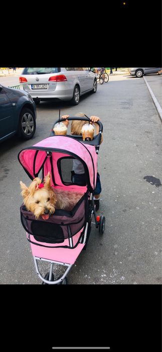 Vand carut de catei roz