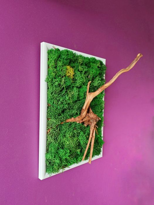 Картина от скандинавски мъх и корен от азалия