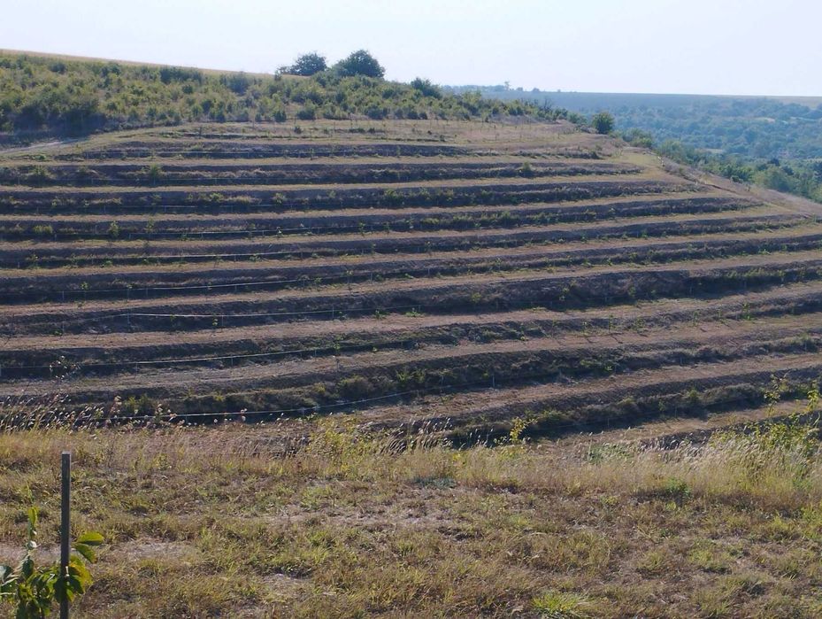 Продава се Земеделски имот в Варна, Автогара -  кв.м за 5763 €/дка - Снимка #2