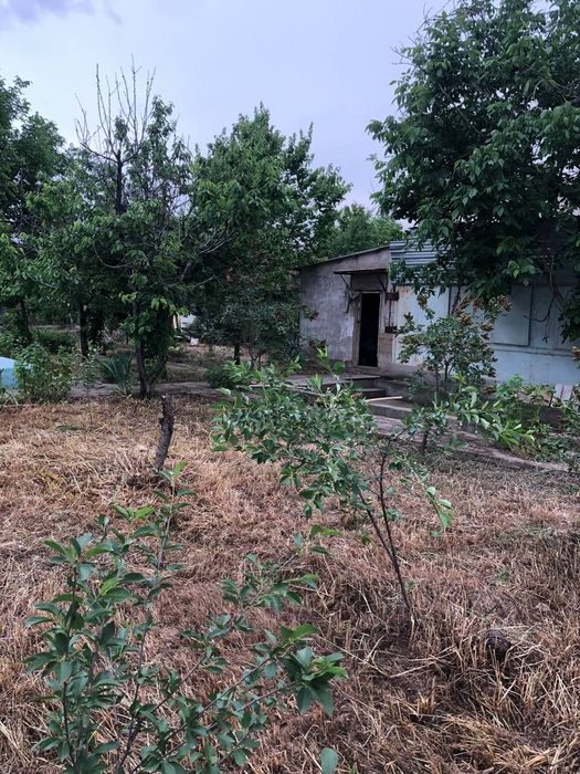 Продам землю Паркент дач.пос.Нилюфар