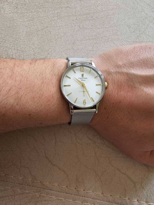 Мъжки часовник Festina F20252, Сребрист