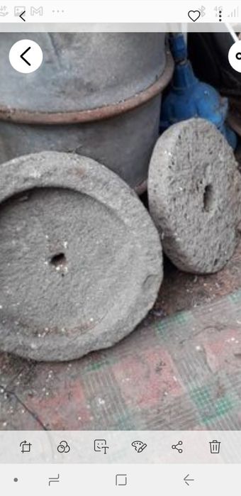 Cantar apicol,bacuri menghina,panza circular,roti banzic,capace dacai