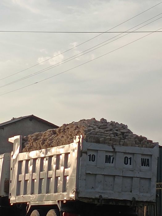 SINOS! plita buzish