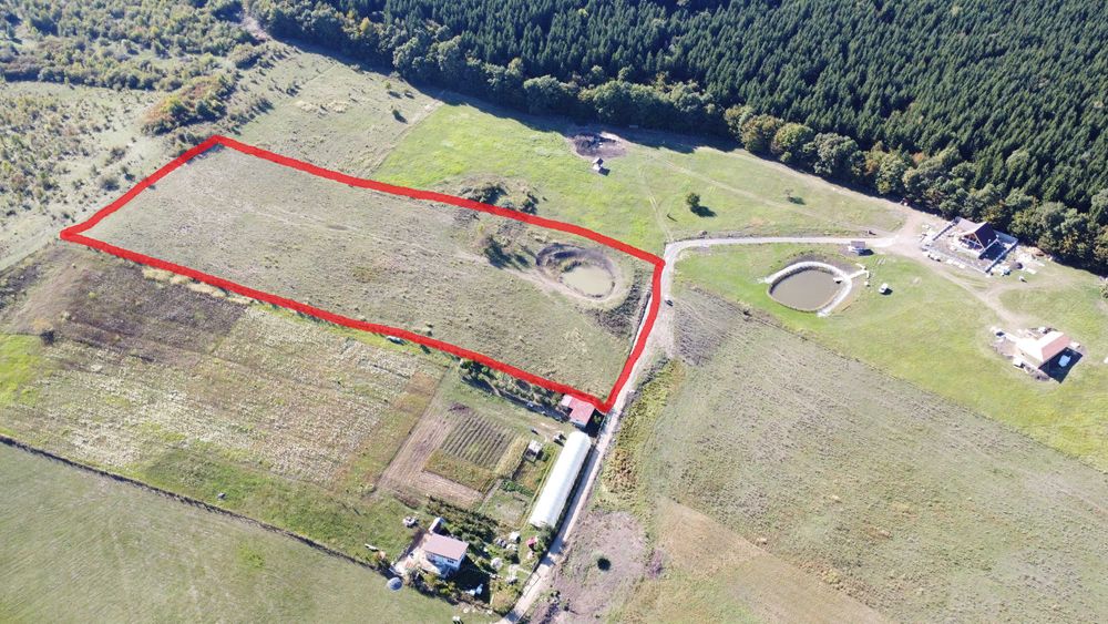 Teren de vanzare - 1,8 ha - zona Sigmir