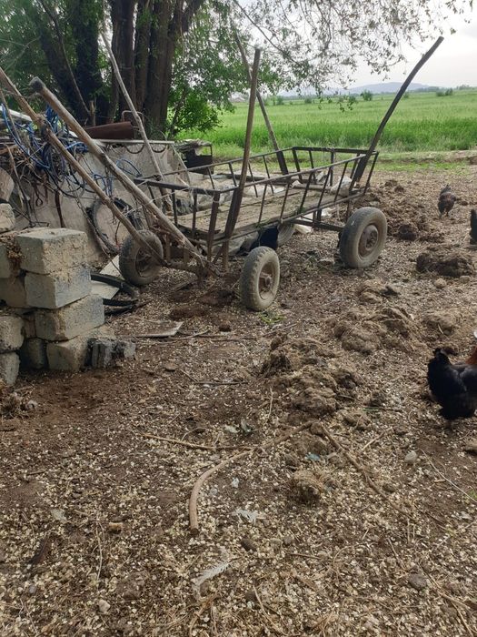 Продам Ишака с бричкой