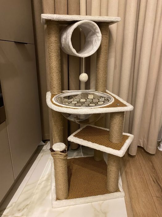 Отдам кота в хорошие руки
