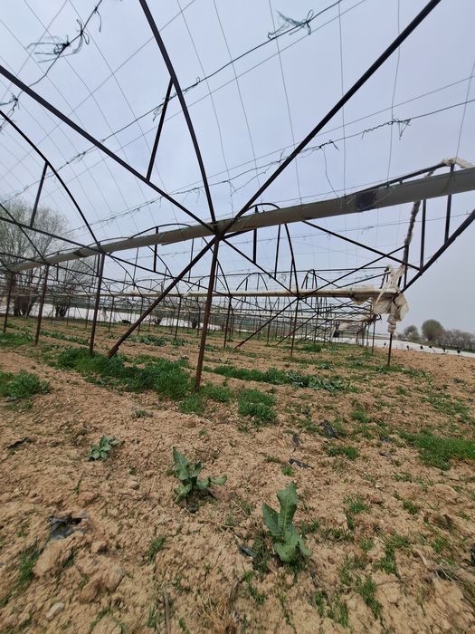 Парник сатылады бағасы келісімді