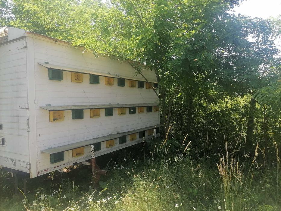 Vând 2 pavilioane Apicole 50 fam sau schimb