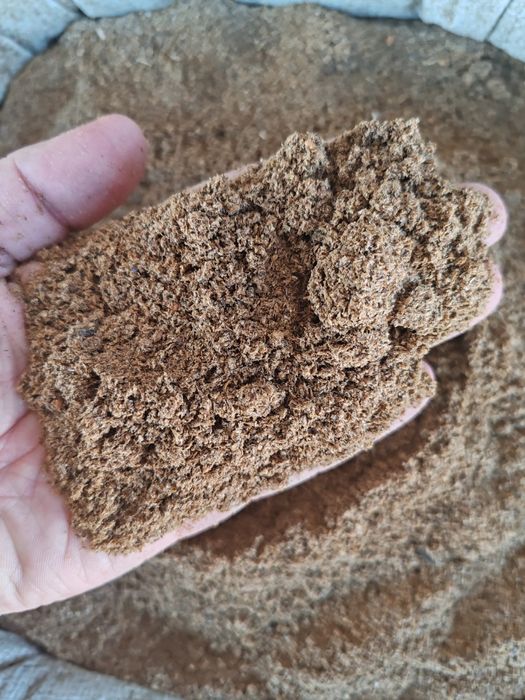 Корма для животных