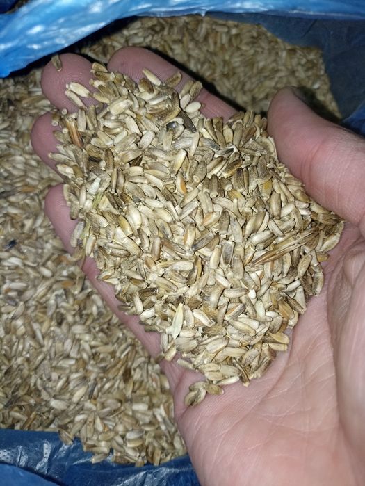 Сотилади! Махаллий РАСТОРОПША